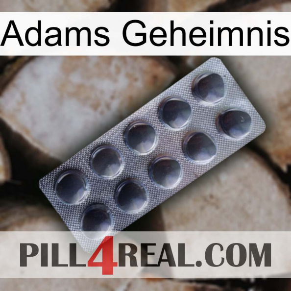Adams Secret 30.jpg